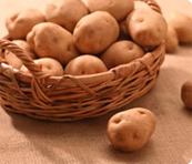 Яку картоплю треба варити, а яку смажити?